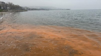 Planktonlar nedeniyle denizin rengi değişti