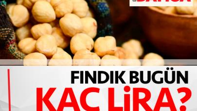 28 Mart Perşembe fındık fiyatları - Fındık kaç lira?