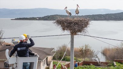 "Leylek Köyü"ndeki yuvalarda bahar temizliği