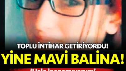 Mavi balina yine can aldı!