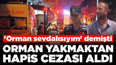 'Orman sevdalısıyım' demişti: Orman yakmaktan hapis cezası aldı