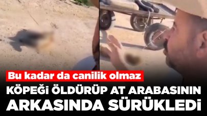 Bu kadar da canilik olmaz: Köpeği öldürüp at arabasının arkasında sürükledi