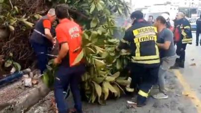 Mersin'de bir kişinin hayatını kaybettiği feci kazanın görüntüleri saniye saniye kaydedildi...