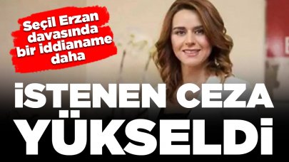 Seçil Erzan davasında bir iddianame daha: İstenen hapis cezası yükseldi