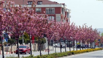 Büyükçekmece renklendi