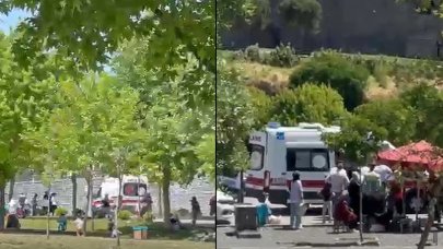 Kontrolden çıkan at piknik yapanların arasına daldı: 1’i çocuk, 2 yaralı