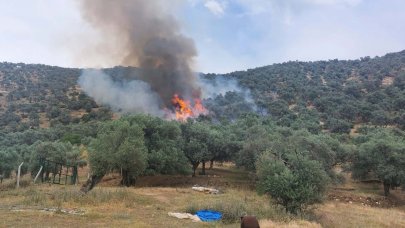 İzmir'de yangın: Havadan ve karadan müdahale edildi