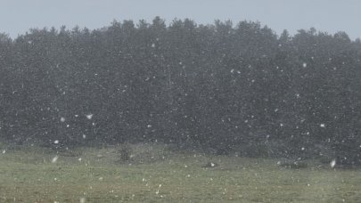 Bolu'da yaylalar beyaza büründü