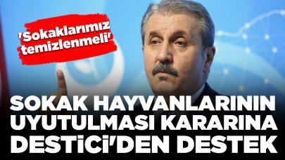 Sokak hayvanlarının uyutulması kararına BBP lideri Destici'den destek: 'Sokaklarımız temizlenmeli'