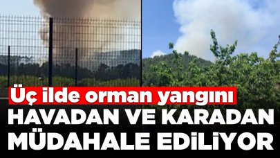 Üç ilde orman yangını: Havadan ve karadan müdahale ediliyor