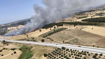 Çanakkale'de orman yangını: Alevlere havadan ve karadan müdahale ediliyor