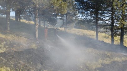 Bingöl’de orman yangını