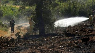 Çanakkale'de 100 dönümlük tarım arazisi küle döndü