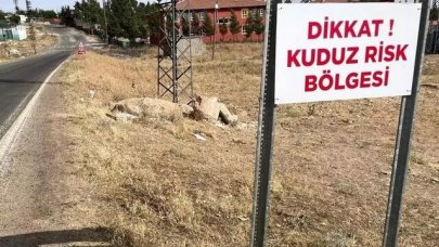 Şanlıurfa'da  2 mahalle, 'kuduz' nedeniyle karantinaya alındı