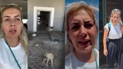 Köpekvelisi Buket Özgünlü Boyacı kimdir, kaç yaşında, evli mi, eşi kim, nereli, Instagram