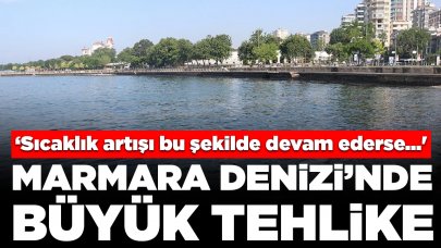 Marmara Denizi'ni bekleyen büyük tehlike: 'Sıcaklık artışı bu şekilde devam ederse...'