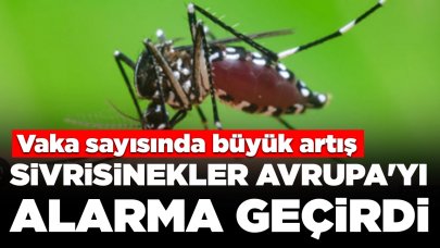 Sivrisinekler Avrupa'yı alarma geçirdi: Vaka sayısında büyük artış