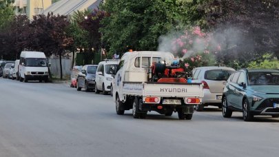 Küçükçekmece’de sivrisineklere karşı mücadele: İlaçlama çalışmaları hızlandırıldı