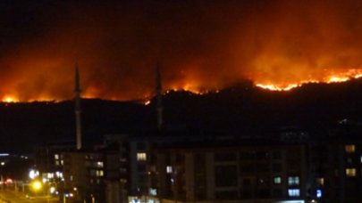 Çanakkale'de orman yangınının ilerlemesi durduruldu: 530 kişi tahliye edildi