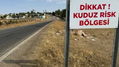 Kuduz paniği: Bir mahalle karantina altına alındı