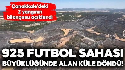 Çanakkale'de 2 yangında 952 futbol sahası büyüklüğündeki alan zarar gördü