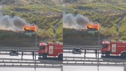 Esenyurt'ta kümes yangını! Tavuklar telef oldu