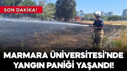 Son dakika! Marmara Üniversitesi'nde yangın paniği! Otlar alev alev yandı