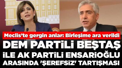 Meclis'te tansiyon yükseldi: DEM Partili Beştaş ile AK Partili Ensarioğlu arasında 'şerefsiz' tartışması