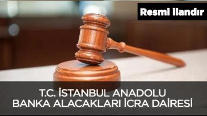 T.C. İSTANBUL ANADOLU BANKA ALACAKLARI İCRA DAİRESİ