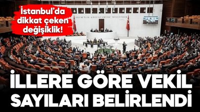 YSK illerin milletvekili sayılarını belirledi