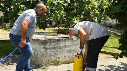 Beylikdüzü'nde ilaçlama çalışmaları