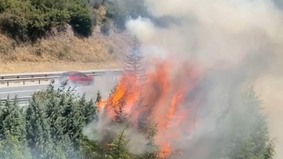 Otoyol kenarındaki ağaçlar yandı; trafik kısa süre durdu