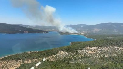 Son dakika! Muğla'da orman yangını çıktı