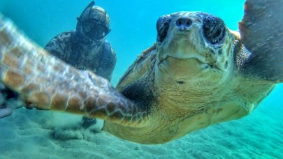 Rekortmen dalgıç, caretta caretta ile selfie çekti!