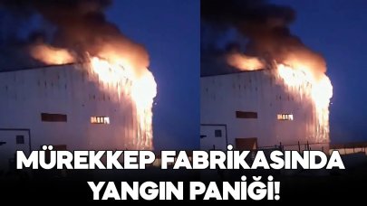 Silivri'deki mürekkep fabrikasında yangın paniği!