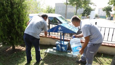 Küçükçekmece'de sokak hayvanları aşırı sıcaklardan korunuyor