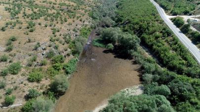 Kırklareli'nde aşırı sıcaklar Teke Deresi'ni susuz bıraktı