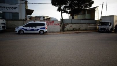 TIR şoförü feci şekilde öldü