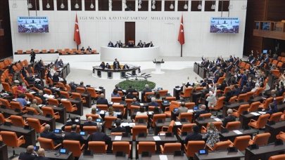 Sahipsiz hayvanlara yönelik kanun teklifi, TBMM Genel Kurulu'nda görüşülmeye başlandı