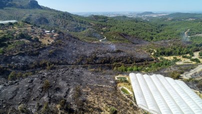 Antalya'daki orman yangını kontrol altına alındı