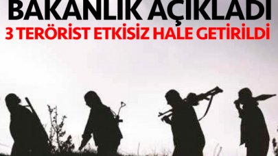 İçişleri Bakanlığı'ndan terör operasyonu açıklaması