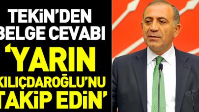 Gürsel Tekin'den belge cevabı