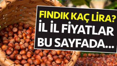 10 Haziran 2019 Pazartesi Fındık Fiyatları - Fındık kaç lira