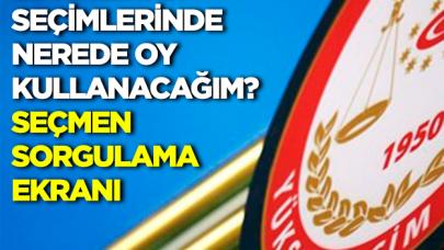 23 Haziran seçimlerinde nerede oy kullanacağım? YSK Seçmen Sorgulama Ekranı