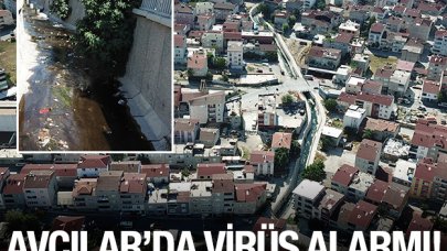 Avcılar'da virüs paniği yaşanıyor