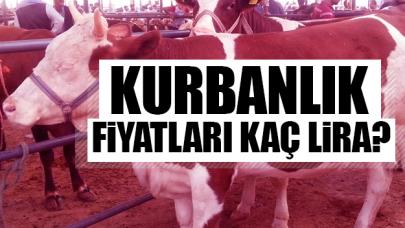 2019 büyükbaş ve küçükbaş kurbanlık fiyatları kaç lira? Kimler kurban kesebilir