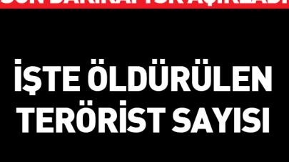 TSK öldürülen terörist sayısını duyurdu