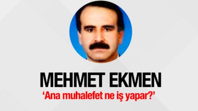 Ana muhalefet ne iş yapar?