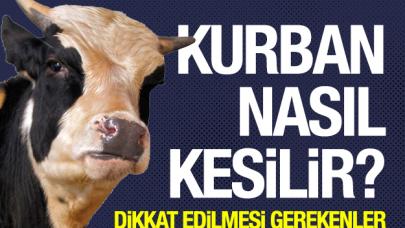 2019 Kurban Bayramı | Kurban nasıl kesilir? Kurban kesilirken nasıl niyet edilir