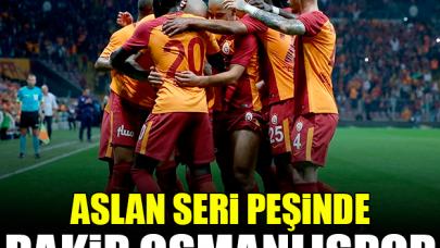 Aslan seri peşinde